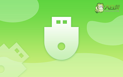 小編教你戴爾Dell主板電腦BIOS怎么設置從u盤啟動？