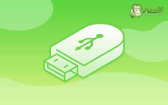 怎么用系統(tǒng)u盤(pán)重裝系統(tǒng)-如何用系統(tǒng)U盤(pán)重裝系統(tǒng)