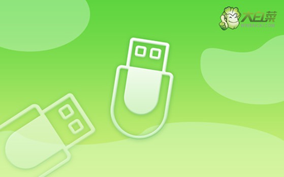 教你如何簡單地重裝電腦系統(tǒng),用什么軟件可以重裝電腦系統(tǒng)